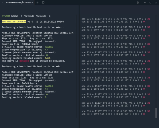 Software HDDHC, desenvolvido pela Hosco, checando o estado de saúde dos discos rígidos de um RAID