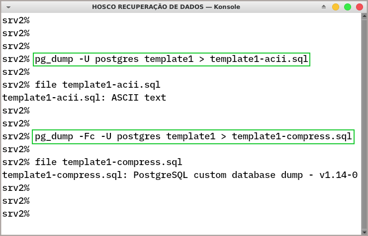 Dump em texto plano e compactado, de banco de dados PostgreSQL